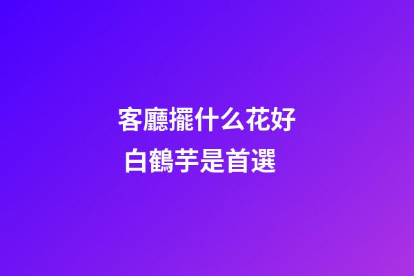 客廳擺什么花好 白鶴芋是首選